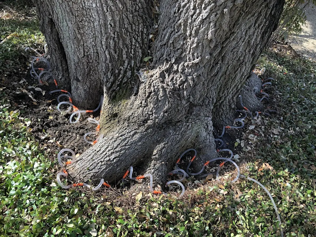 Detailed Shrub and Hedge Trimming job site in Hiddenite