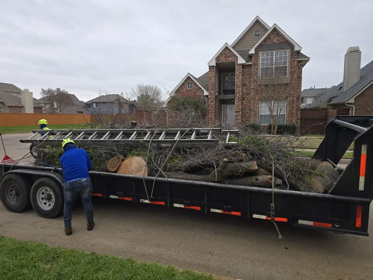 Expert Tree Fertilization with proper safety equipment in Hiddenite